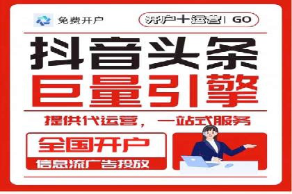 某品牌的信息流广告投放策略及效果展示